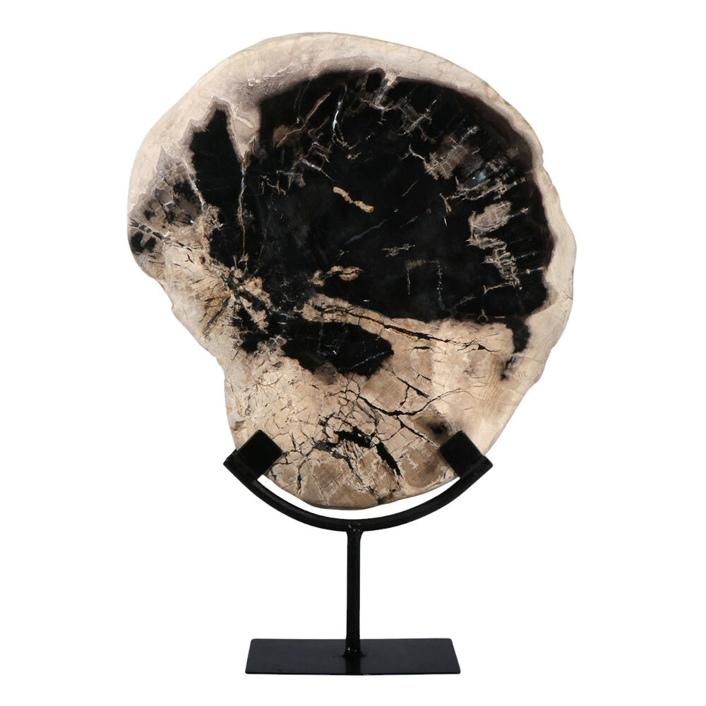 Versteend hout schijf gepolijst op standaard 28 x 26 x 2,5 cm | 3007 gram Versteend hout schijf gepolijst op standaard 28 x 26 x 2,5 cm | 3007 gram