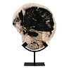 Versteend hout schijf gepolijst op standaard 28 x 26 x 2,5 cm | 3007 gram Versteend hout schijf gepolijst op standaard 28 x 26 x 2,5 cm | 3007 gram