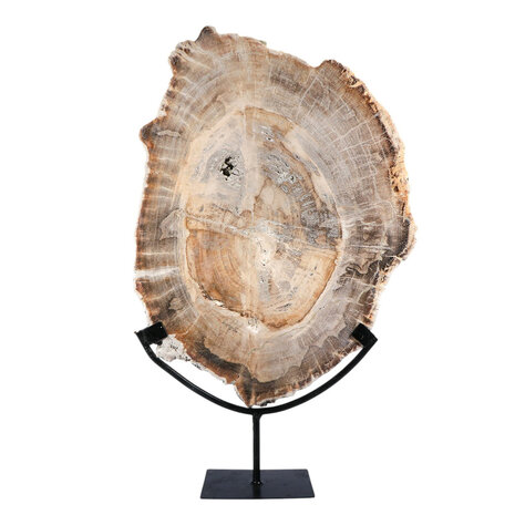 Versteend hout schijf gepolijst op standaard 42 x 31 x 2,4 cm | 4,7 kg Versteend hout schijf gepolijst op standaard 42 x 31 x 2,4 cm | 4,7 kg