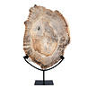 Versteend hout schijf gepolijst op standaard 42 x 31 x 2,4 cm | 4,7 kg Versteend hout schijf gepolijst op standaard 42 x 31 x 2,4 cm | 4,7 kg