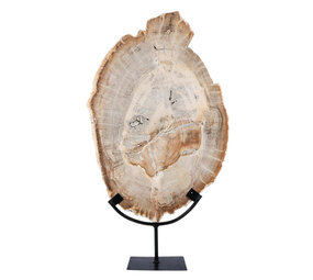 Versteend hout schijf gepolijst op standaard 43,6 x 29,4 x 2,2 cm | 4,15 kg Versteend hout schijf gepolijst op standaard 43,6 x 29,4 x 2,2 cm | 4,15 kg