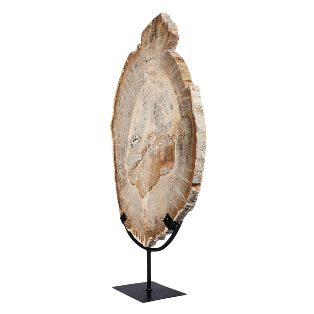 Versteend hout schijf gepolijst op standaard 43,6 x 29,4 x 2,2 cm | 4,15 kg Versteend hout schijf gepolijst op standaard 43,6 x 29,4 x 2,2 cm | 4,15 kg