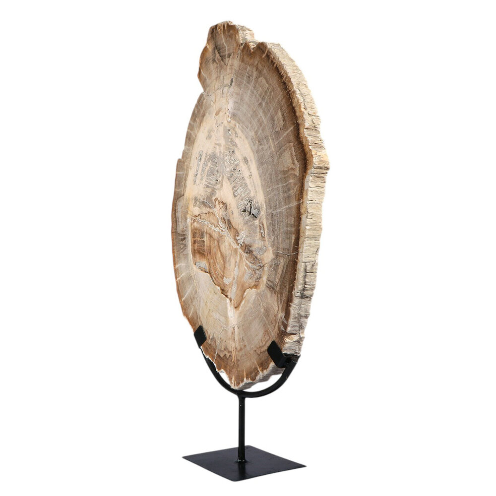 Versteend hout schijf gepolijst op standaard 43,6 x 29,4 x 2,2 cm | 4,15 kg Versteend hout schijf gepolijst op standaard 43,6 x 29,4 x 2,2 cm | 4,15 kg