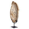 Versteend hout schijf gepolijst op standaard 43,6 x 29,4 x 2,2 cm | 4,15 kg Versteend hout schijf gepolijst op standaard 43,6 x 29,4 x 2,2 cm | 4,15 kg