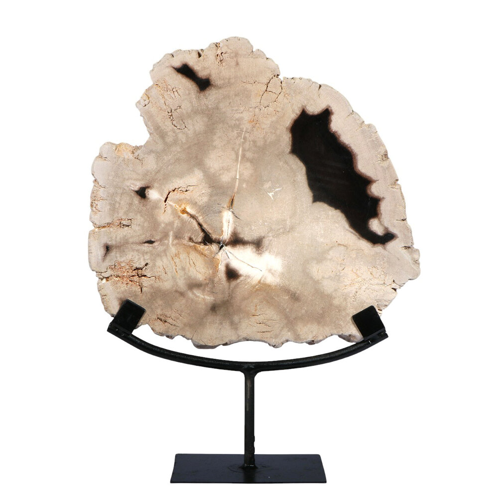 Versteend hout schijf gepolijst op standaard 25,8 x 24,3 x 2,3 cm | 2,5 kg
