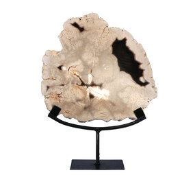 Versteend hout schijf gepolijst op standaard 25,8 x 24,3 x 2,3 cm | 2,5 kg