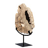 Versteend hout schijf gepolijst op standaard 25,8 x 24,3 x 2,3 cm | 2,5 kg