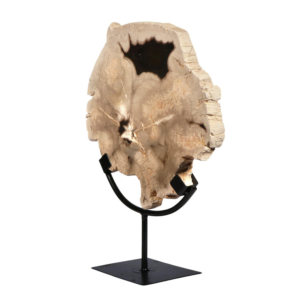 Versteend hout schijf gepolijst op standaard 25,8 x 24,3 x 2,3 cm | 2,5 kg