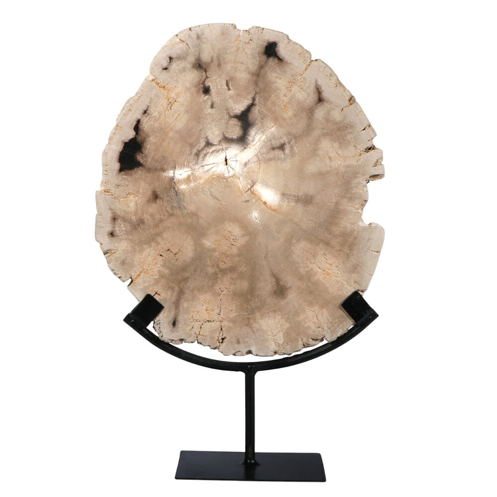 Versteend hout schijf gepolijst op standaard 27,3 x 23,8 x 3,4 cm | 2,65 kg