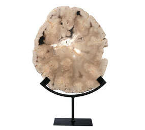 Versteend hout schijf gepolijst op standaard 27,3 x 23,8 x 3,4 cm | 2,65 kg