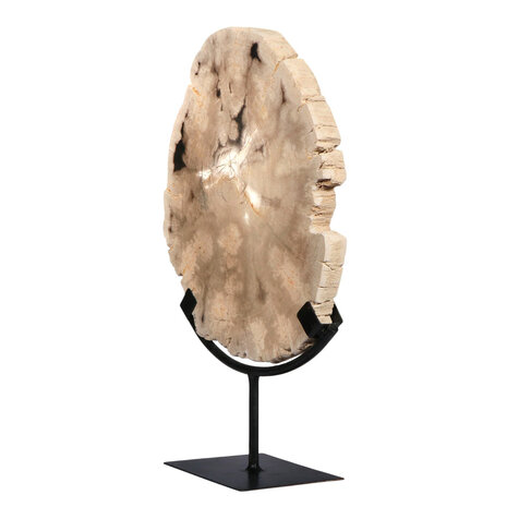 Versteend hout schijf gepolijst op standaard 27,3 x 23,8 x 3,4 cm | 2,65 kg