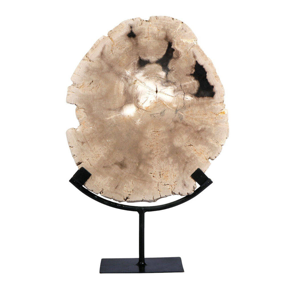 Versteend hout schijf gepolijst op standaard 27,3 x 23,8 x 3,4 cm | 2,65 kg