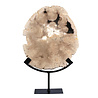 Versteend hout schijf gepolijst op standaard 27,3 x 23,8 x 3,4 cm | 2,65 kg