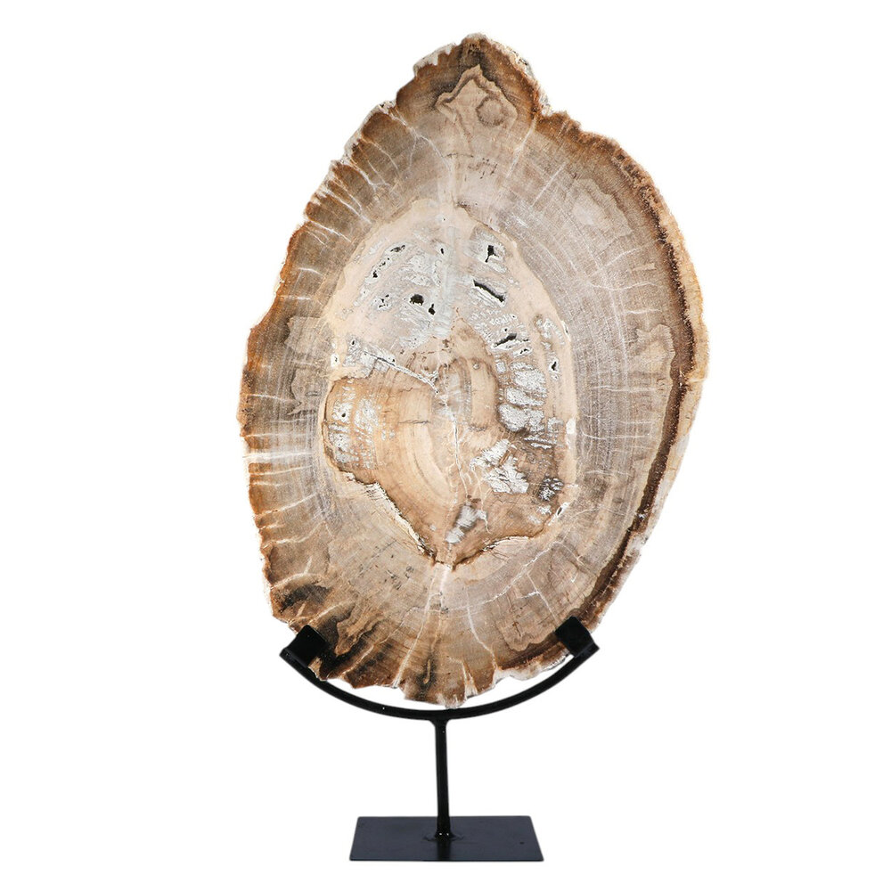 Versteend hout schijf gepolijst op standaard 44,1 x 30,2 x 2,2 cm | 4,45 kg Versteend hout schijf gepolijst op standaard 44,1 x 30,2 x 2,2 cm | 4,45 kg