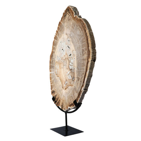 Versteend hout schijf gepolijst op standaard 44,1 x 30,2 x 2,2 cm | 4,45 kg Versteend hout schijf gepolijst op standaard 44,1 x 30,2 x 2,2 cm | 4,45 kg
