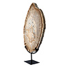 Versteend hout schijf gepolijst op standaard 44,1 x 30,2 x 2,2 cm | 4,45 kg Versteend hout schijf gepolijst op standaard 44,1 x 30,2 x 2,2 cm | 4,45 kg