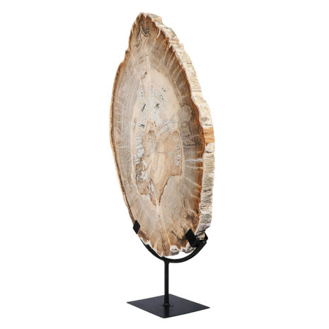 Versteend hout schijf gepolijst op standaard 44,1 x 30,2 x 2,2 cm | 4,45 kg Versteend hout schijf gepolijst op standaard 44,1 x 30,2 x 2,2 cm | 4,45 kg