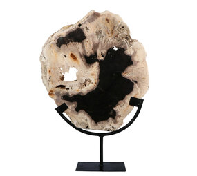 Versteend hout schijf gepolijst op standaard 28,6 x 26,1 x 2,3 cm | 2,3 kg Versteend hout schijf gepolijst op standaard 28,6 x 26,1 x 2,3 cm | 2,3 kg