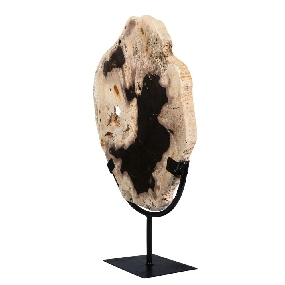 Versteend hout schijf gepolijst op standaard 28,6 x 26,1 x 2,3 cm | 2,3 kg Versteend hout schijf gepolijst op standaard 28,6 x 26,1 x 2,3 cm | 2,3 kg