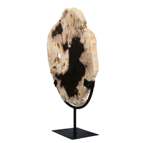 Versteend hout schijf gepolijst op standaard 28,6 x 26,1 x 2,3 cm | 2,3 kg Versteend hout schijf gepolijst op standaard 28,6 x 26,1 x 2,3 cm | 2,3 kg
