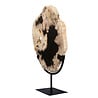 Versteend hout schijf gepolijst op standaard 28,6 x 26,1 x 2,3 cm | 2,3 kg Versteend hout schijf gepolijst op standaard 28,6 x 26,1 x 2,3 cm | 2,3 kg