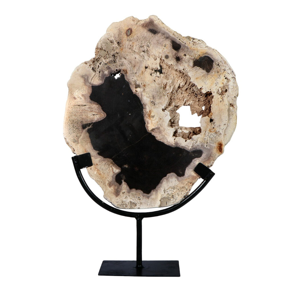 Versteend hout schijf gepolijst op standaard 28,6 x 26,1 x 2,3 cm | 2,3 kg Versteend hout schijf gepolijst op standaard 28,6 x 26,1 x 2,3 cm | 2,3 kg
