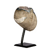 Amethist cluster op standaard 9,7 x 7,7 x 8,6 cm | 777 gram Amethist cluster op standaard 9,7 x 7,7 x 8,6 cm | 777 gram