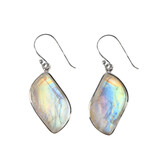 Zilveren oorbellen maansteen (regenboog) | freeform 2,3 x 1,7 cm Zilveren oorbellen maansteen (regenboog) | freeform 2,3 x 1,7 cm