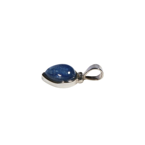Zilveren hanger tanzaniet | druppel 1,2 x 0,9 cm Zilveren hanger tanzaniet | druppel 1,2 x 0,9 cm