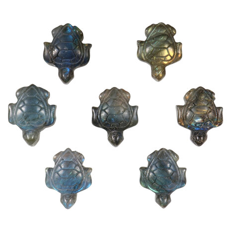 Labradoriet schildpad hanger doorboord Labradoriet schildpad hanger doorboord
