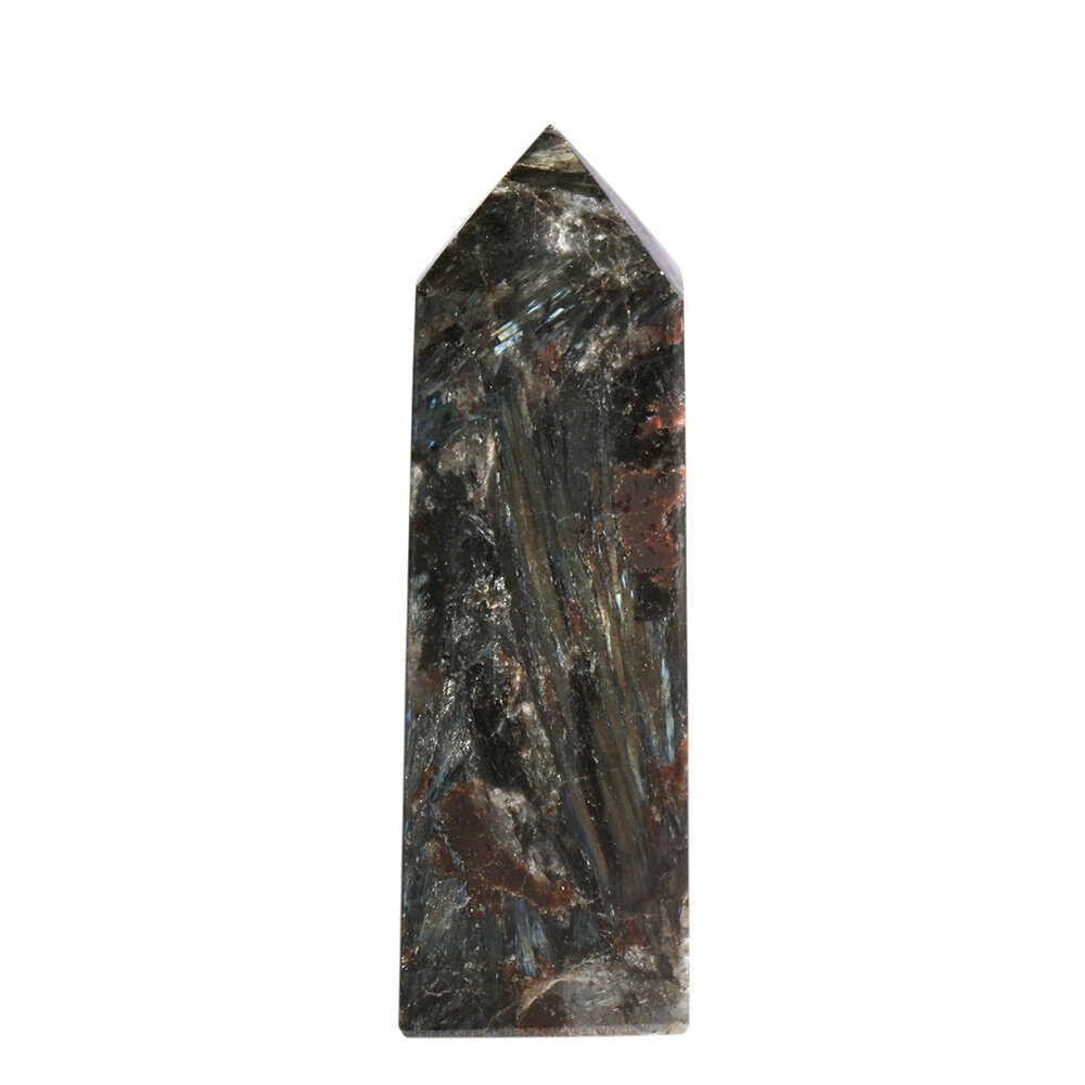 Astrofylliet obelisk 9 - 10 cm Astrofylliet obelisk 9 - 10 cm