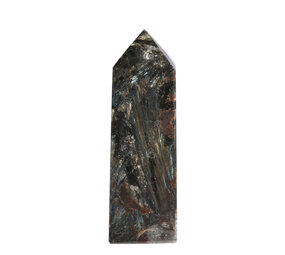 Astrofylliet obelisk 9 - 10 cm Astrofylliet obelisk 9 - 10 cm