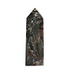 Astrofylliet obelisk 9 - 10 cm Astrofylliet obelisk 9 - 10 cm
