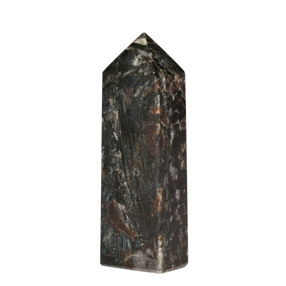 Astrofylliet obelisk 9 - 10 cm Astrofylliet obelisk 9 - 10 cm