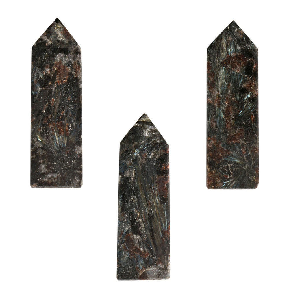 Astrofylliet obelisk 9 - 10 cm Astrofylliet obelisk 9 - 10 cm