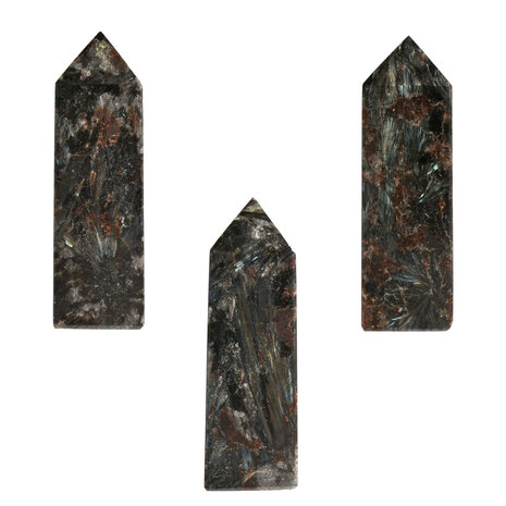 Astrofylliet obelisk 9 - 10 cm Astrofylliet obelisk 9 - 10 cm