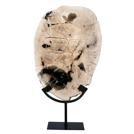 Versteend hout schijf gepolijst op standaard 31,9 x 22,7 x 2,6 cm | 2789 gram Versteend hout schijf gepolijst op standaard 31,9 x 22,7 x 2,6 cm | 2789 gram