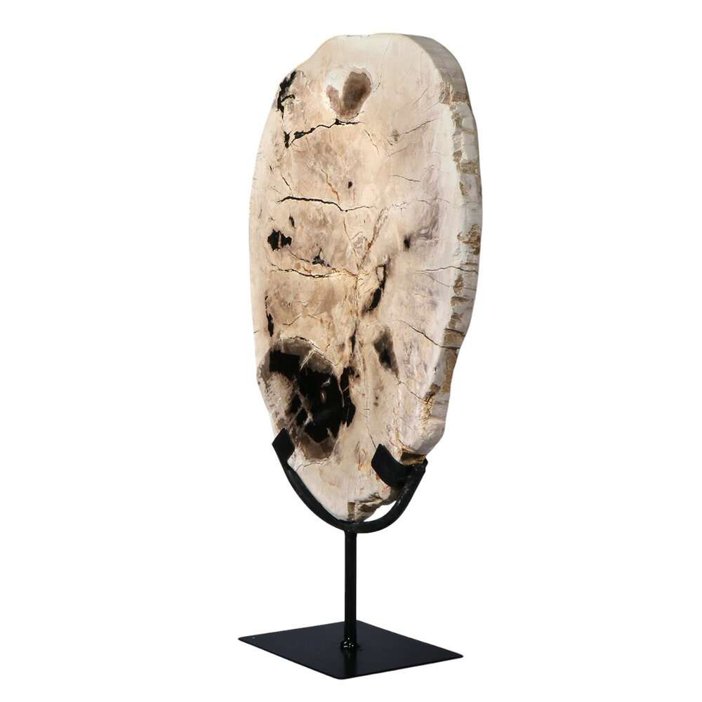 Versteend hout schijf gepolijst op standaard 31,9 x 22,7 x 2,6 cm | 2789 gram Versteend hout schijf gepolijst op standaard 31,9 x 22,7 x 2,6 cm | 2789 gram
