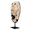 Versteend hout schijf gepolijst op standaard 31,9 x 22,7 x 2,6 cm | 2789 gram Versteend hout schijf gepolijst op standaard 31,9 x 22,7 x 2,6 cm | 2789 gram