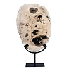 Versteend hout schijf gepolijst op standaard 31,9 x 22,7 x 2,6 cm | 2789 gram Versteend hout schijf gepolijst op standaard 31,9 x 22,7 x 2,6 cm | 2789 gram