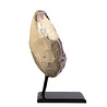 Amethist cluster op standaard 14,9 x 10,4 x 5,2 cm | 1811 gram Amethist cluster op standaard 14,9 x 10,4 x 5,2 cm | 1811 gram