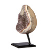 Amethist cluster op standaard 11,4 x 8,9 x 7,9 cm | 1244 gram Amethist cluster op standaard 11,4 x 8,9 x 7,9 cm | 1244 gram