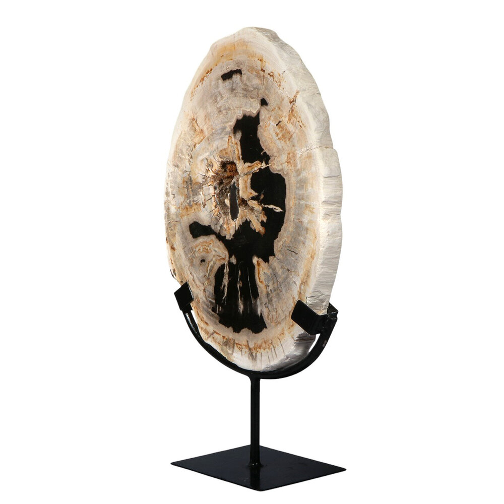Versteend hout schijf gepolijst op standaard 28,5 x 20,6 x 2,4 cm | 2,35 kg Versteend hout schijf gepolijst op standaard 28,5 x 20,6 x 2,4 cm | 2,35 kg