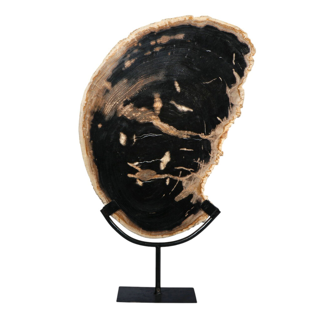 Versteend hout schijf gepolijst op standaard 42,6 x 40,3 x 1,7 cm | 3,8 kg Versteend hout schijf gepolijst op standaard 42,6 x 40,3 x 1,7 cm | 3,8 kg