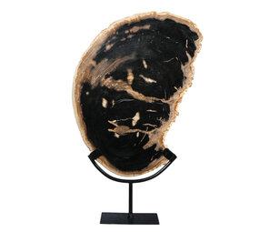 Versteend hout schijf gepolijst op standaard 42,6 x 40,3 x 1,7 cm | 3,8 kg Versteend hout schijf gepolijst op standaard 42,6 x 40,3 x 1,7 cm | 3,8 kg