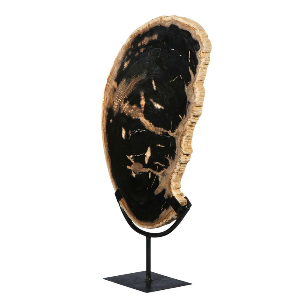 Versteend hout schijf gepolijst op standaard 42,6 x 40,3 x 1,7 cm | 3,8 kg Versteend hout schijf gepolijst op standaard 42,6 x 40,3 x 1,7 cm | 3,8 kg