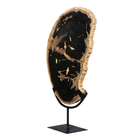 Versteend hout schijf gepolijst op standaard 42,6 x 40,3 x 1,7 cm | 3,8 kg Versteend hout schijf gepolijst op standaard 42,6 x 40,3 x 1,7 cm | 3,8 kg