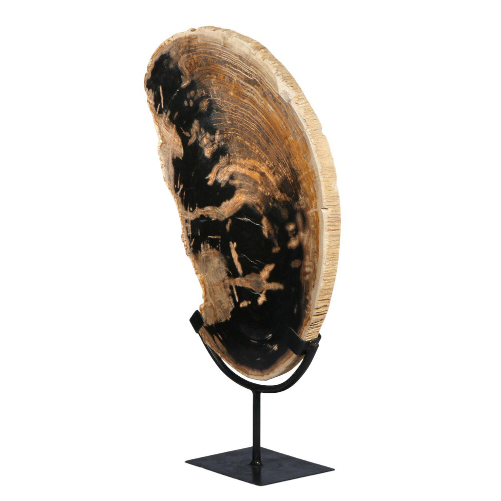 Versteend hout schijf gepolijst op standaard 42,6 x 40,3 x 1,7 cm | 3,8 kg Versteend hout schijf gepolijst op standaard 42,6 x 40,3 x 1,7 cm | 3,8 kg