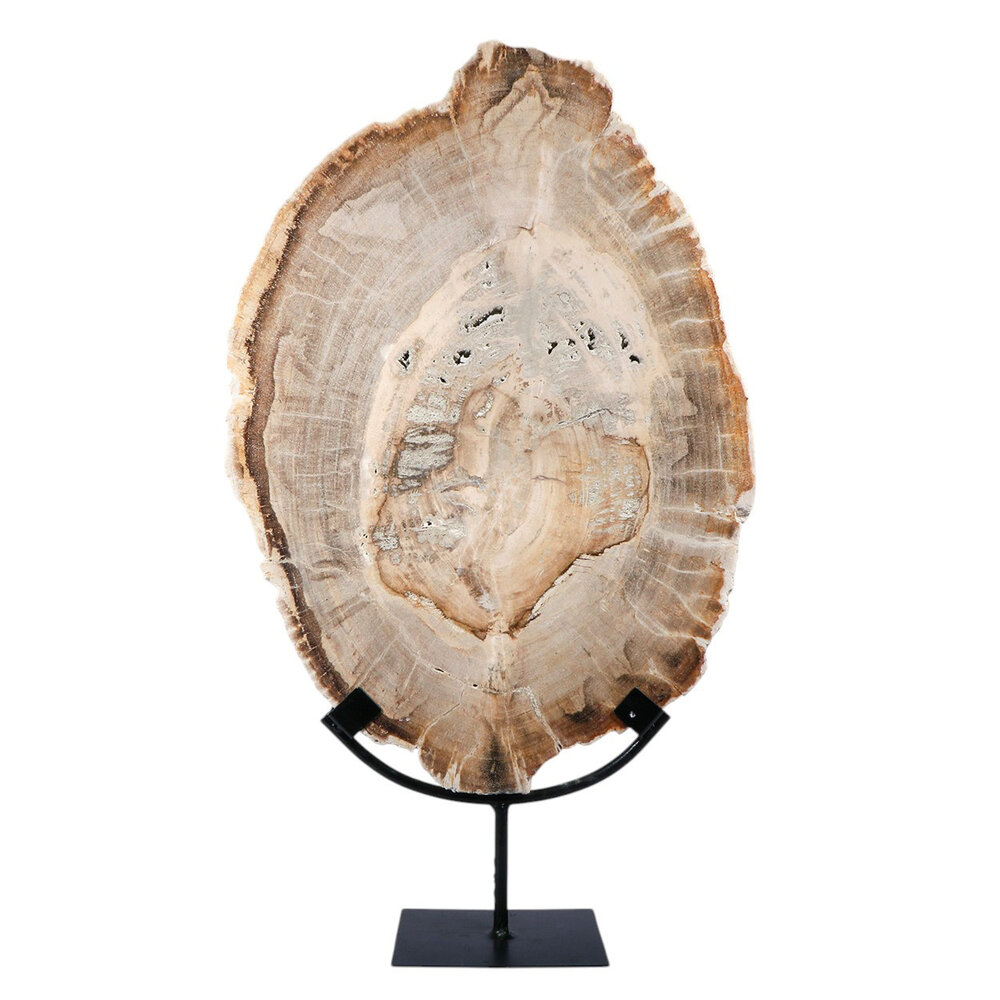 Versteend hout schijf gepolijst op standaard 43 x 30 x 2,2 cm | 4,4 kg Versteend hout schijf gepolijst op standaard 43 x 30 x 2,2 cm | 4,4 kg