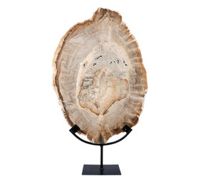 Versteend hout schijf gepolijst op standaard 43 x 30 x 2,2 cm | 4,4 kg Versteend hout schijf gepolijst op standaard 43 x 30 x 2,2 cm | 4,4 kg